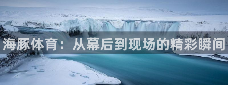 龙门nba直播：海豚体育：从幕后到现场的精彩瞬间