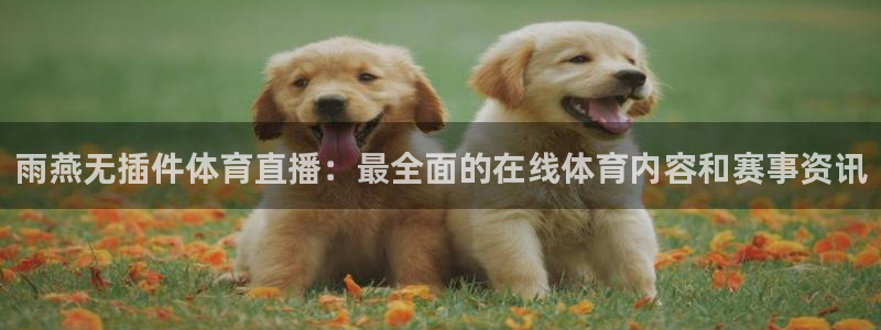 龙门体育直播在线观看：雨燕无插件体育直播：最全面的在线体育内容和赛事资讯