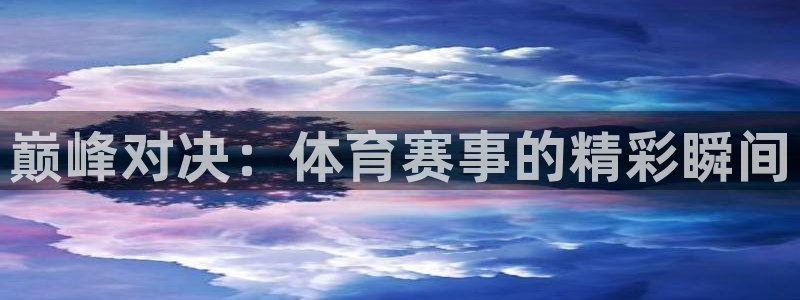 龙门飞甲粤语在线看：巅峰对决：体育赛事的精彩瞬间