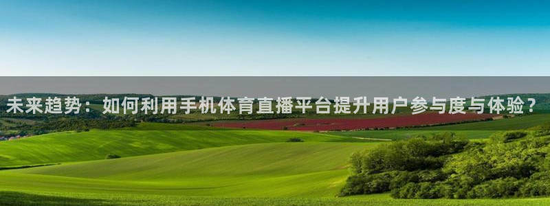 龙门视频：未来趋势：如何利用手机体育直播平台提升用户参与度与体验？