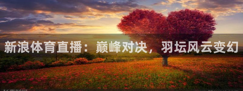 龙门直播下载：新浪体育直播：巅峰对决，羽坛风云变幻