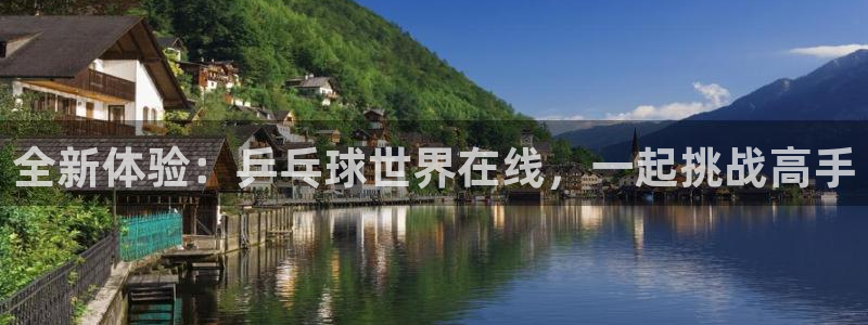 龙门直播间在线观看：全新体验：乒乓球世界在线，一起挑战高手