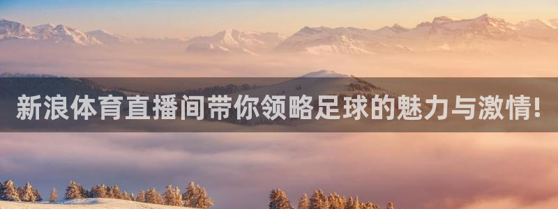 龙门体育免费直播：新浪体育直播间带你领略足球的魅力与激情!