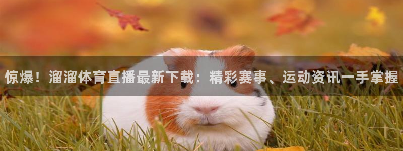 龙门视频：惊爆！溜溜体育直播最新下载：精彩赛事、运动资讯一手掌握