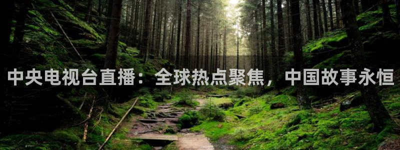 龙门飞甲超清在线播放：中央电视台直播：全球热点聚焦，中国故事永恒