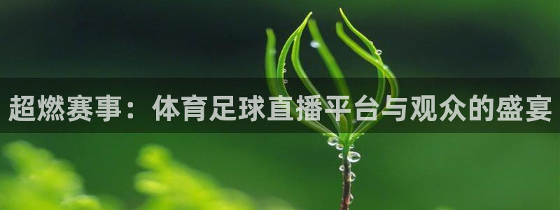 龙门直播间在线观看：超燃赛事：体育足球直播平台与观众的盛宴