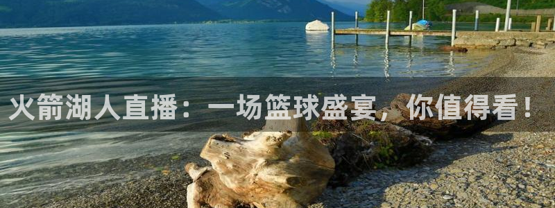 龙门直播app足球直播下载手机版：火箭湖人直播：一场篮球盛宴，你值得看！