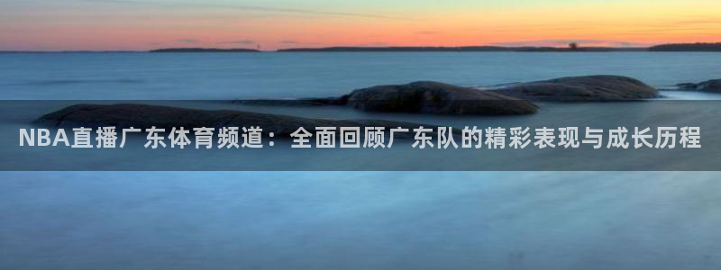龙门nba免费直播：NBA直播广东体育频道：全面回顾广东队的精彩表现与成长历程