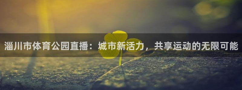 龙门飞甲粤语在线看：淄川市体育公园直播：城市新活力，共享运动的无限可能